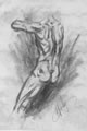 Michael Hensley Drawings, Male Form 56